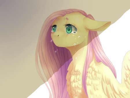 My little pony флаттершай человек