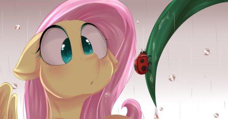 My little pony флаттершай человек