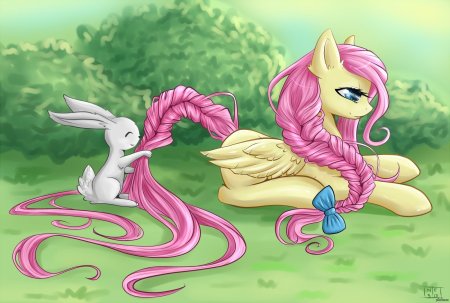 My little pony флаттершай
