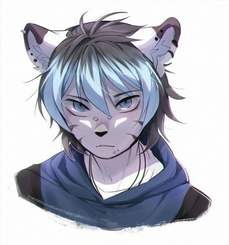 Аниме фурри