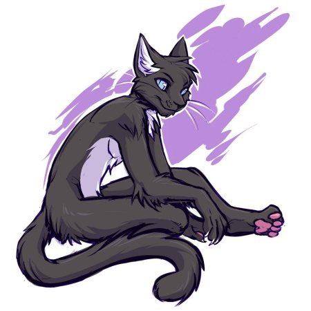 Коты воители бич