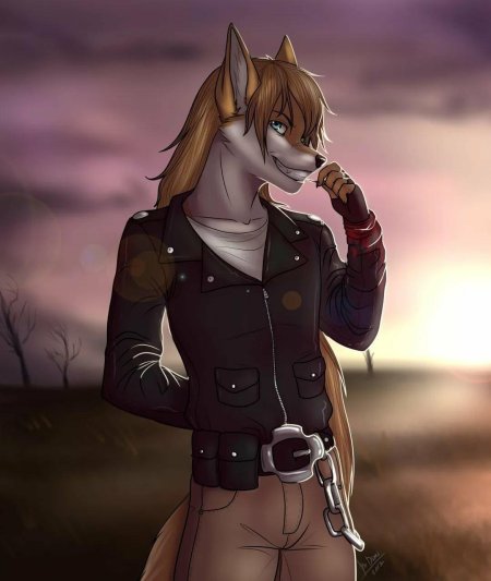 Фурри дими кендал