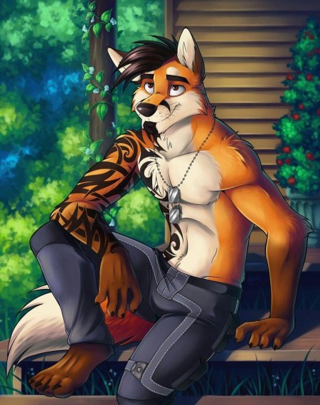 Фокс фурри парень