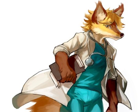 Лис фурри доктор