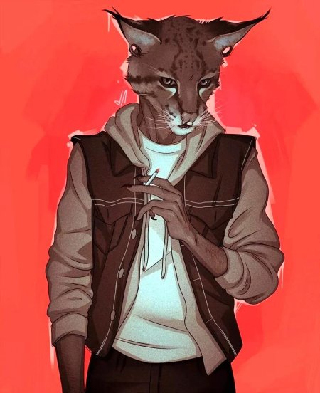 Фурри кот арт