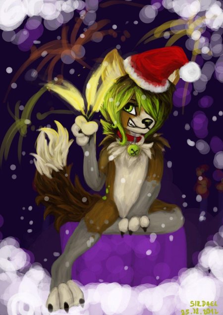 Фурри новый год