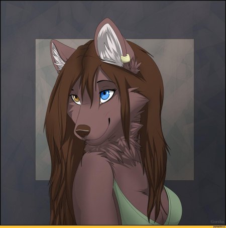 Волчица фурри