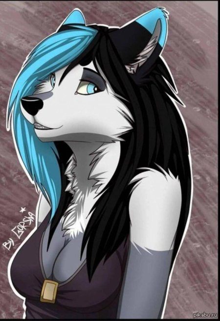 Волчица фурри