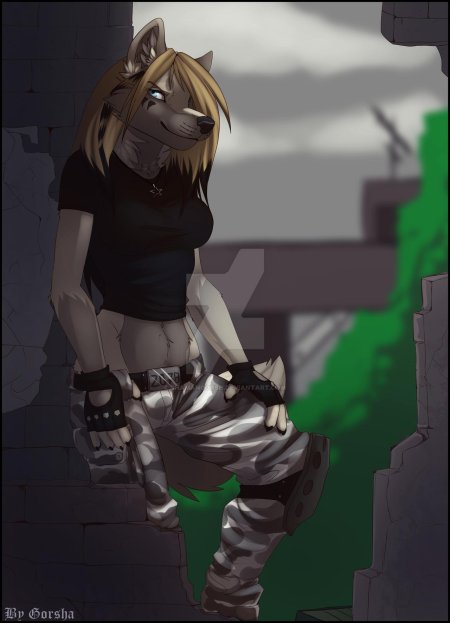 Коул фардример