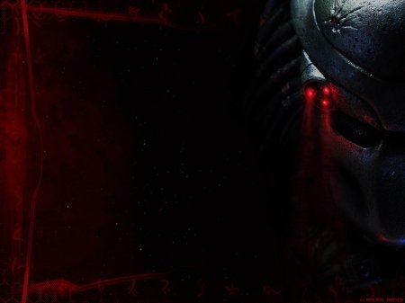 Хищник обои