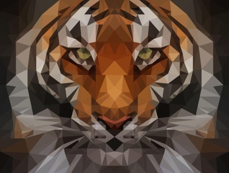 Тигр геометрика