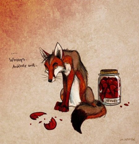 Лисы кульпео фокс