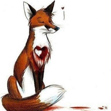 Лисы кульпео фокс