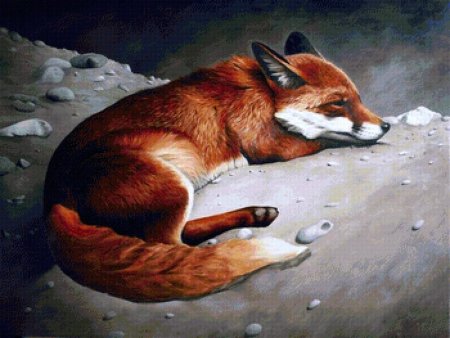 Спящая лиса рисунок