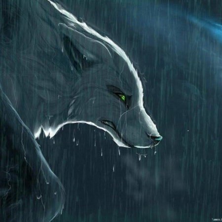 Грустные волки арты