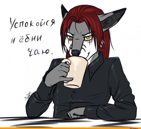 Дими кендал фурри 101 wolf