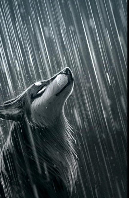 Грустные волки