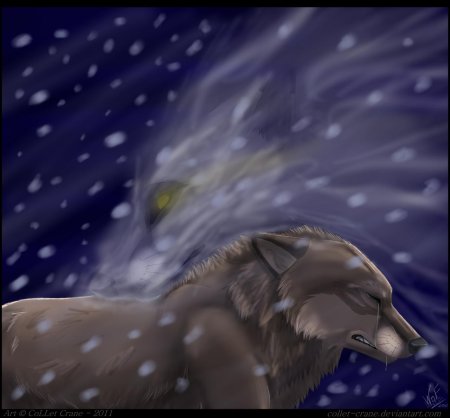 Аниме волчий дождь черный волк