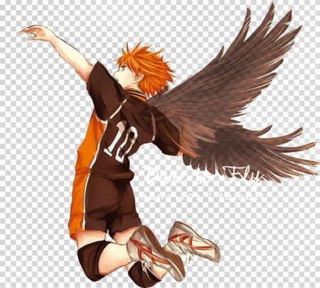 Шоё хината и карасуно