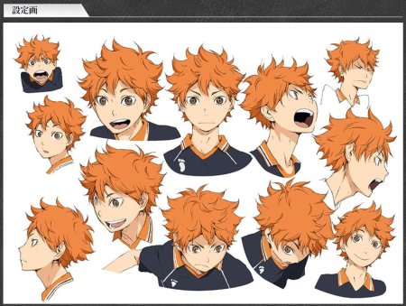 Шоё хината волейбол