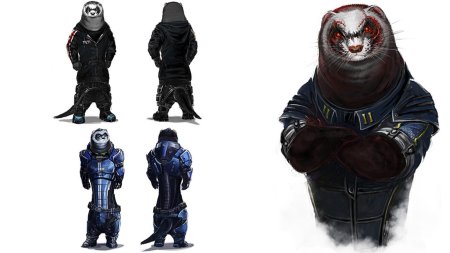 Боевой хорек