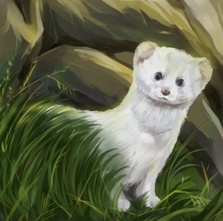 Микитов соколов \ горностай горностай