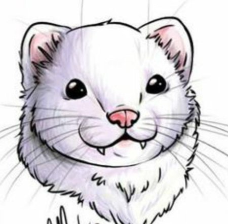 Рисунки хорька