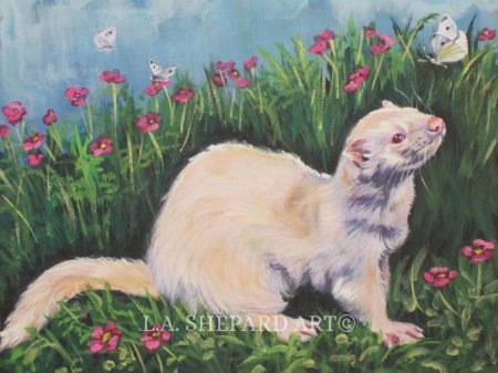 Рисунки хорька