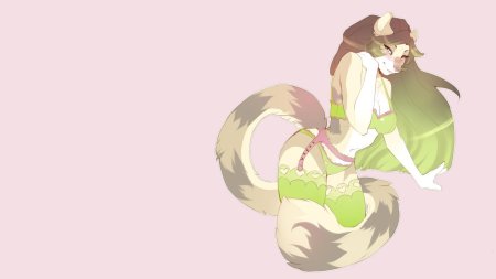 Фурри полло чан