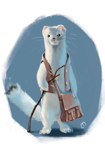 Микитов соколов \ горностай горностай