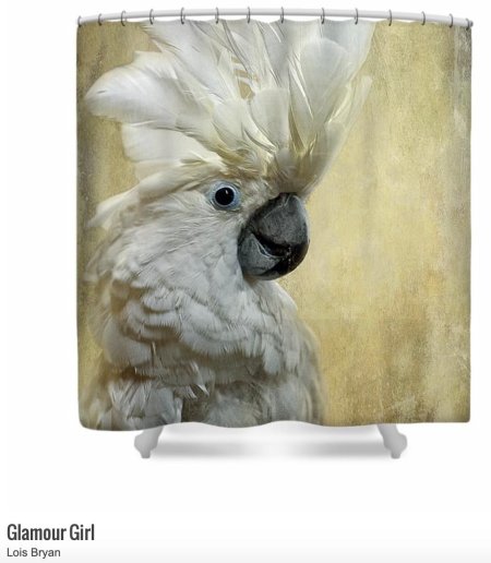 Белый попугай какаду