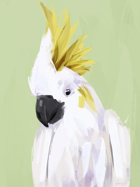 Попугай арт какаду