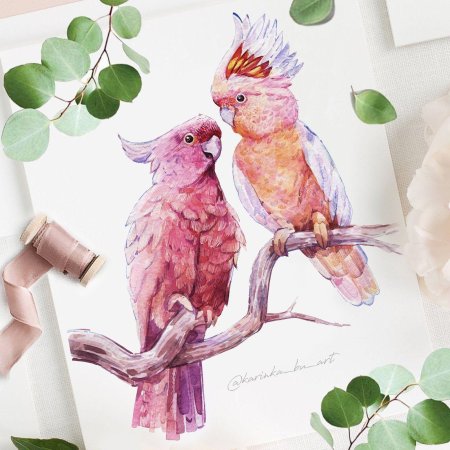 Какаду акварелью