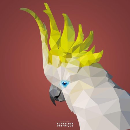 Паперкрафт попугай какаду