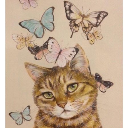 Кот с бабочками