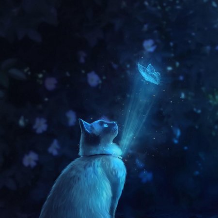 Кот и бабочка арт