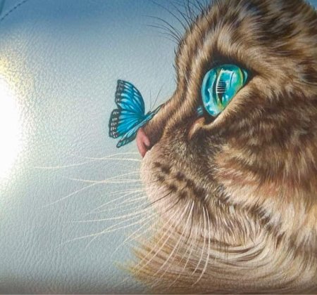 Кот с бабочками