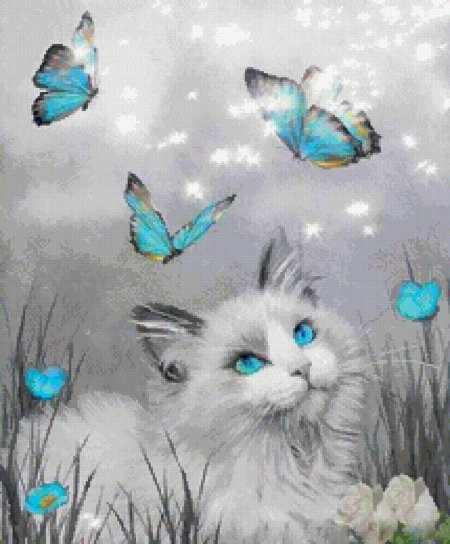 Кошка с бабочкой