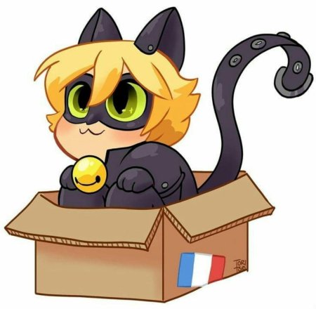 Леди баг и супер кот чиби