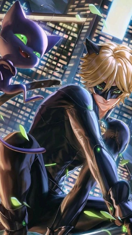 Miraculous ladybug cat noir