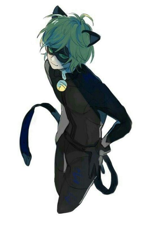 Феликс агрест кот нуар