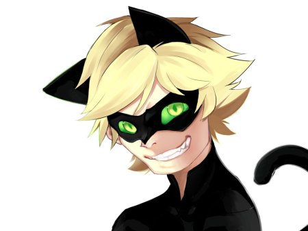 Эдриан кот нуар