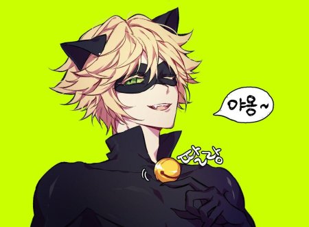 Эдриан кот нуар