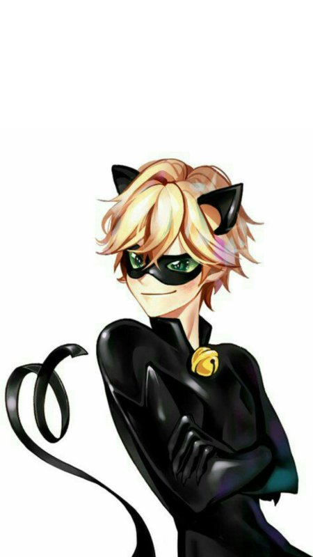 Леди баг и кот нуар