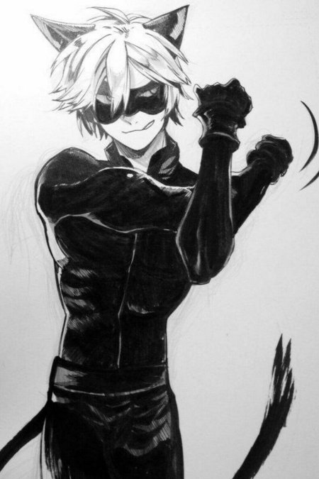 Кот нуар и леди баг