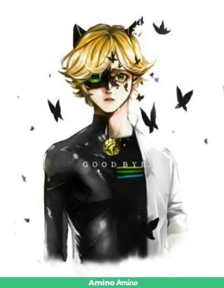 Супер кот адриан