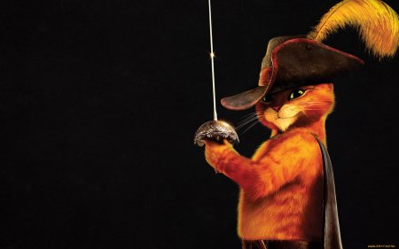 Кота в сапогах