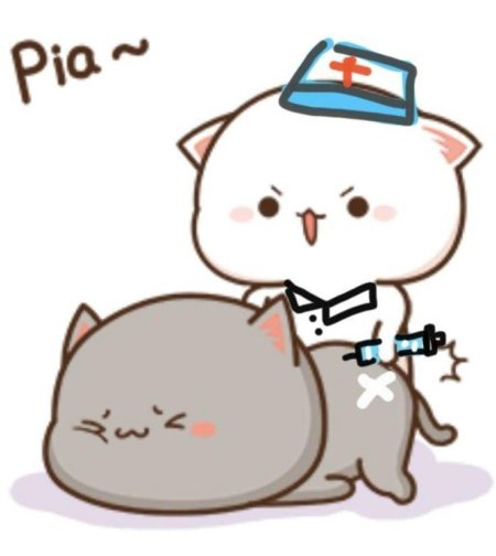 Кавайные котики