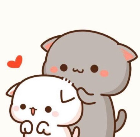 Кавайные котики любовь