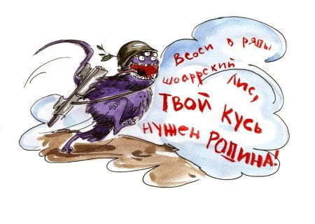 Шоаррская лиса